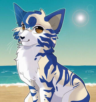 By: Sootfield on INSTA